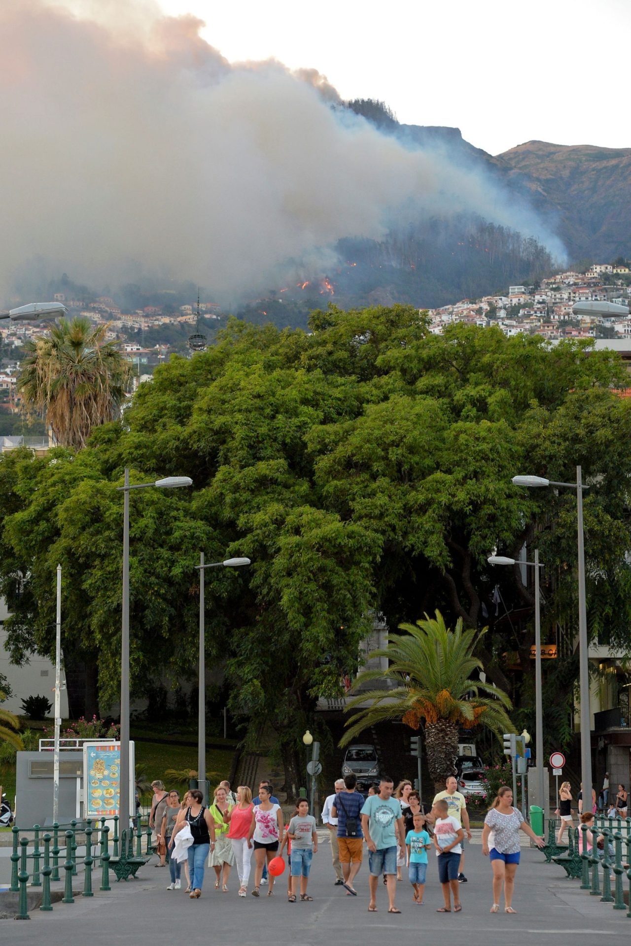 Incêndios na Madeira: Edgar Silva foge das chamas e ataca as autoridades