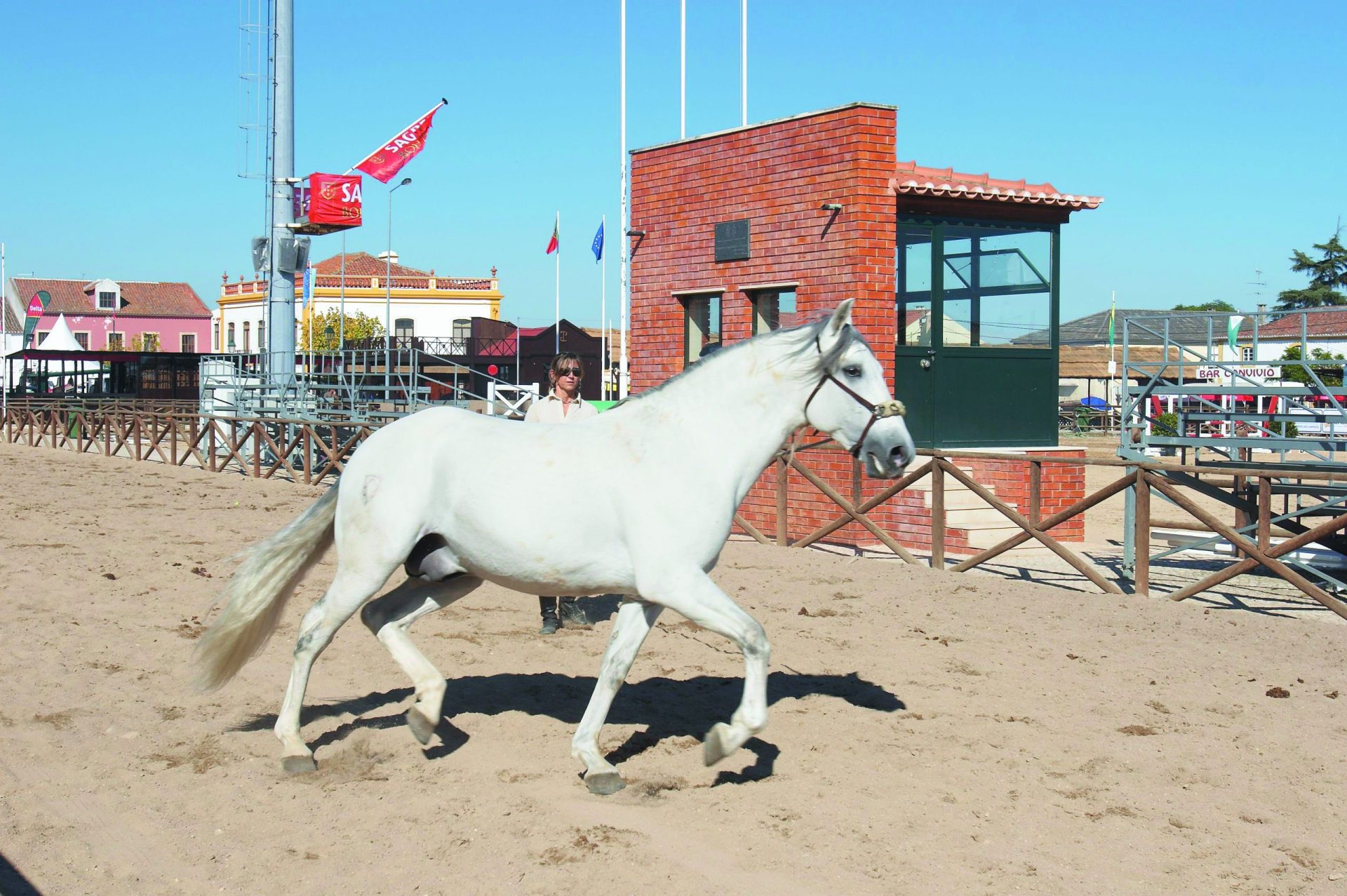 Cavalos no Tejo: Lisboa recebe a sua primeira Feira