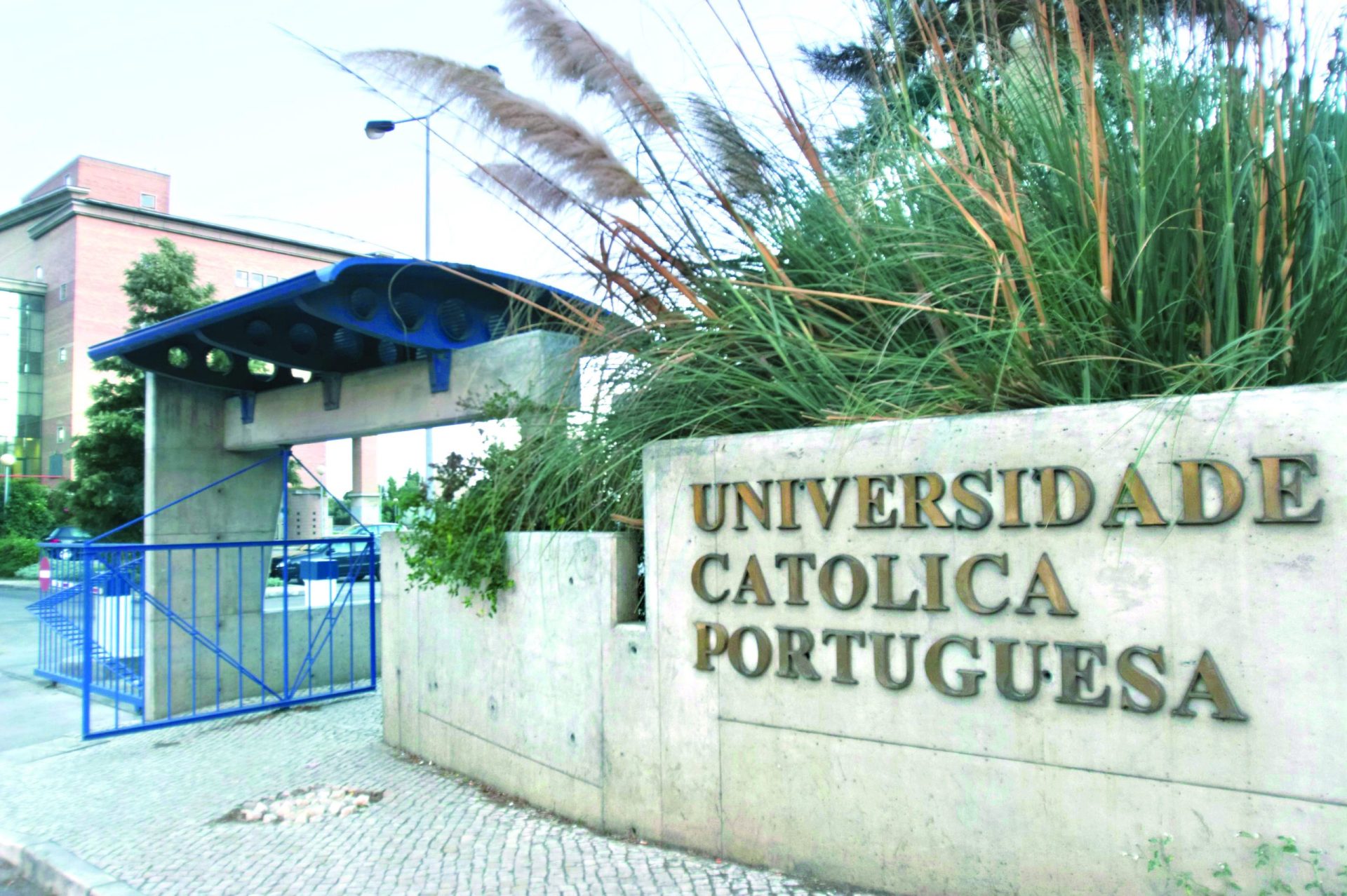 Católica e Luz Saúde, do grupo Fidelidade, lançam Faculdade de Medicina em Cascais