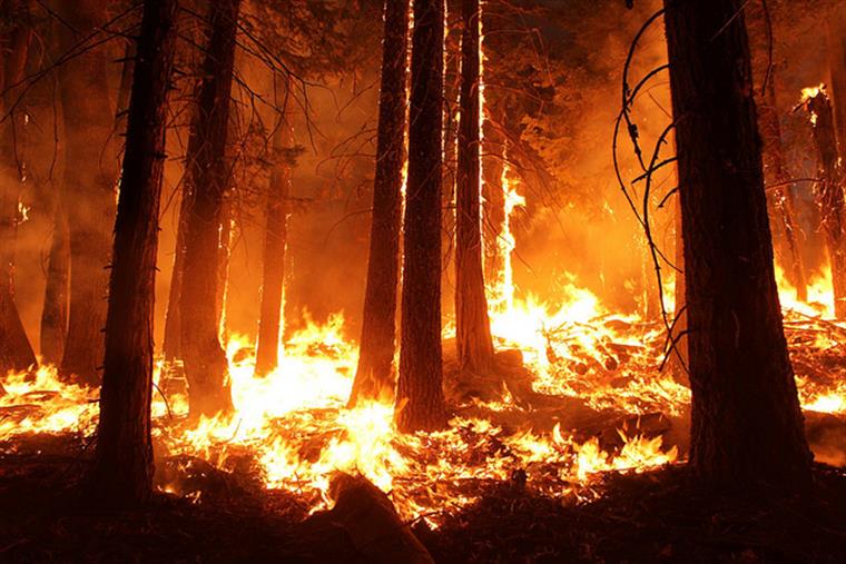 Arderam mais de 70 mil hectares nos últimos dias, mais do que em Espanha