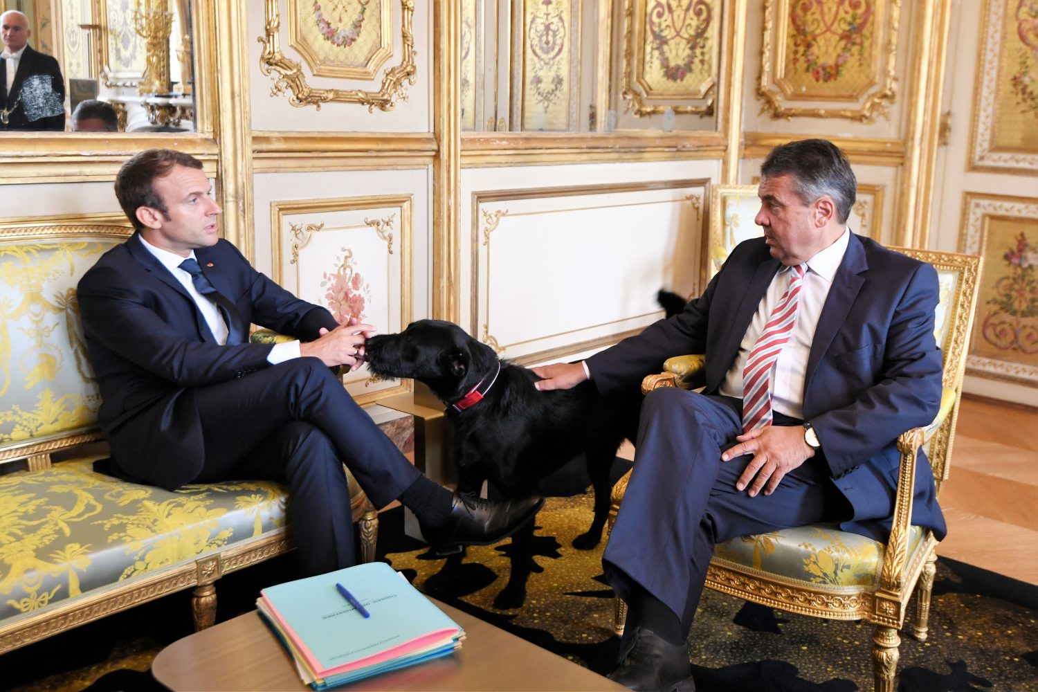 Cão de Macron interrompe reunião para urinar no gabinete presidencial