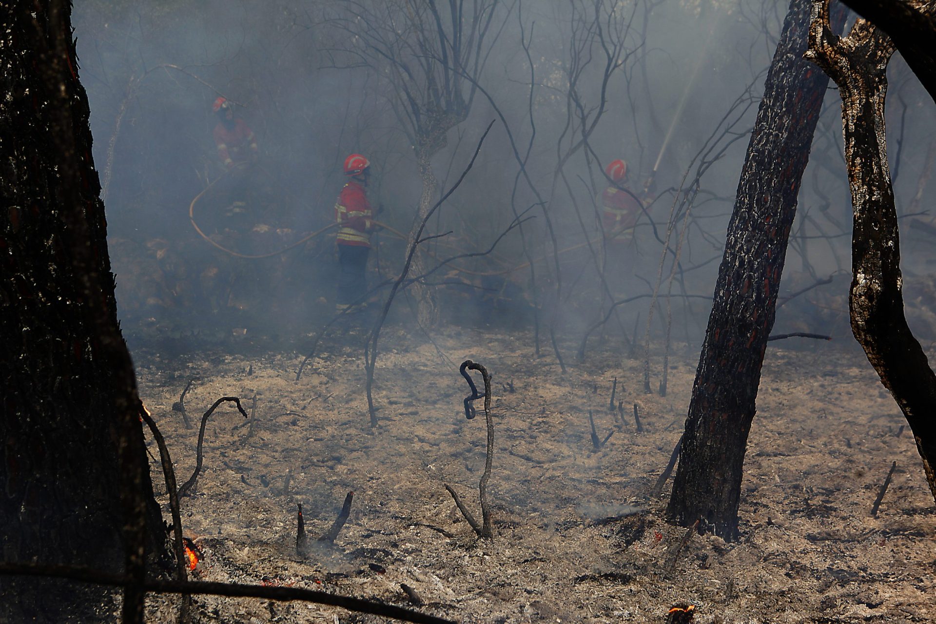 EUA doam 50 mil dólares para as vítimas dos incêndios em Portugal