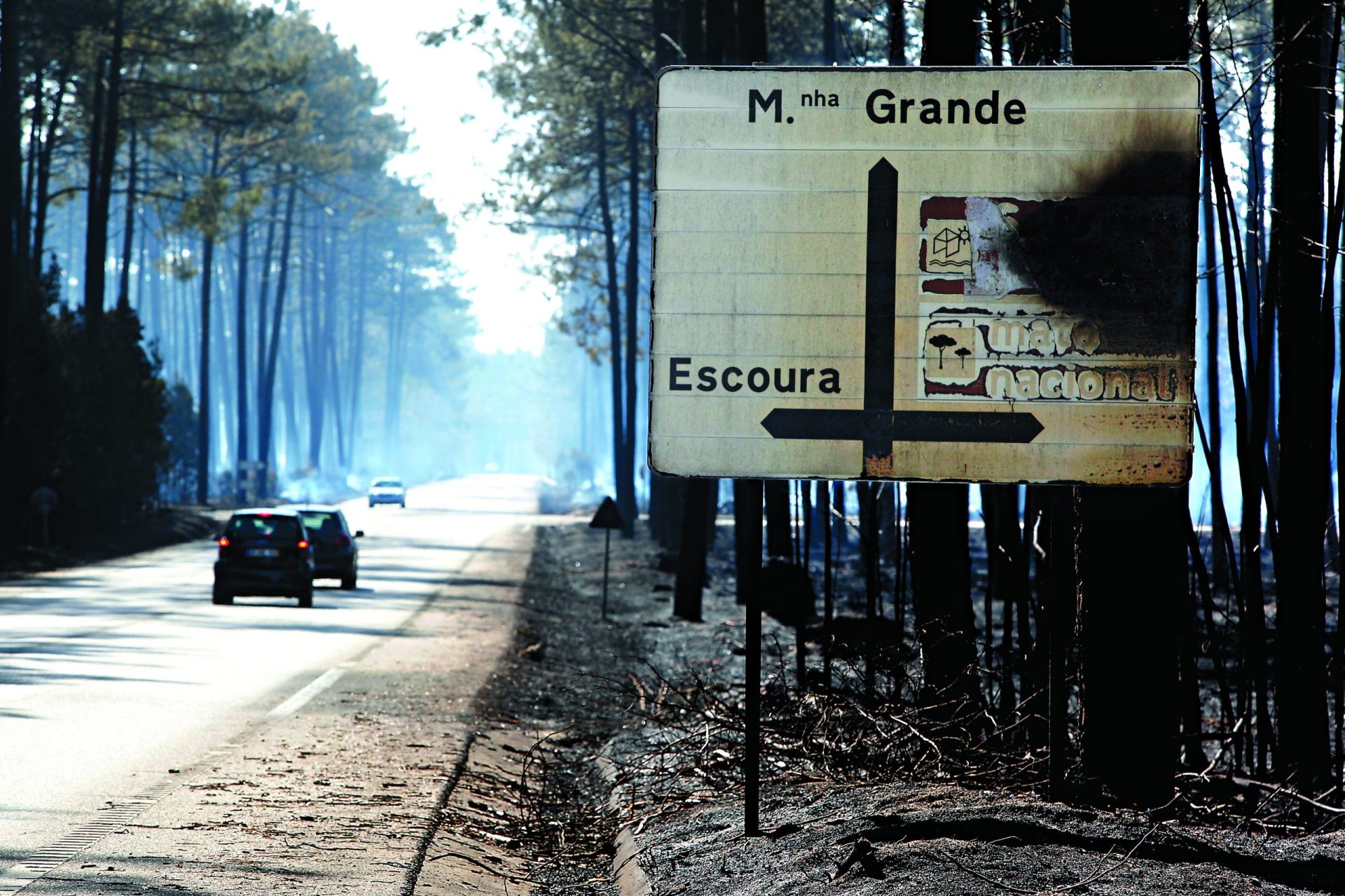 Dois estrangeiros entre as vítimas dos incêndios do dia 15