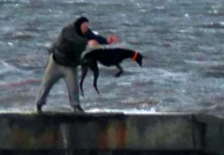 Homens fotografados a atirar cães para mar gelado