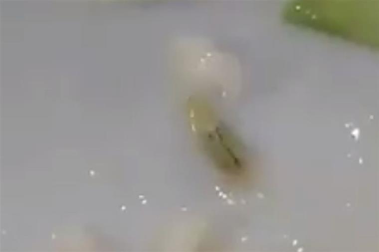 Aluna que partilhou vídeo de lagarta na comida de cantina alvo de processo