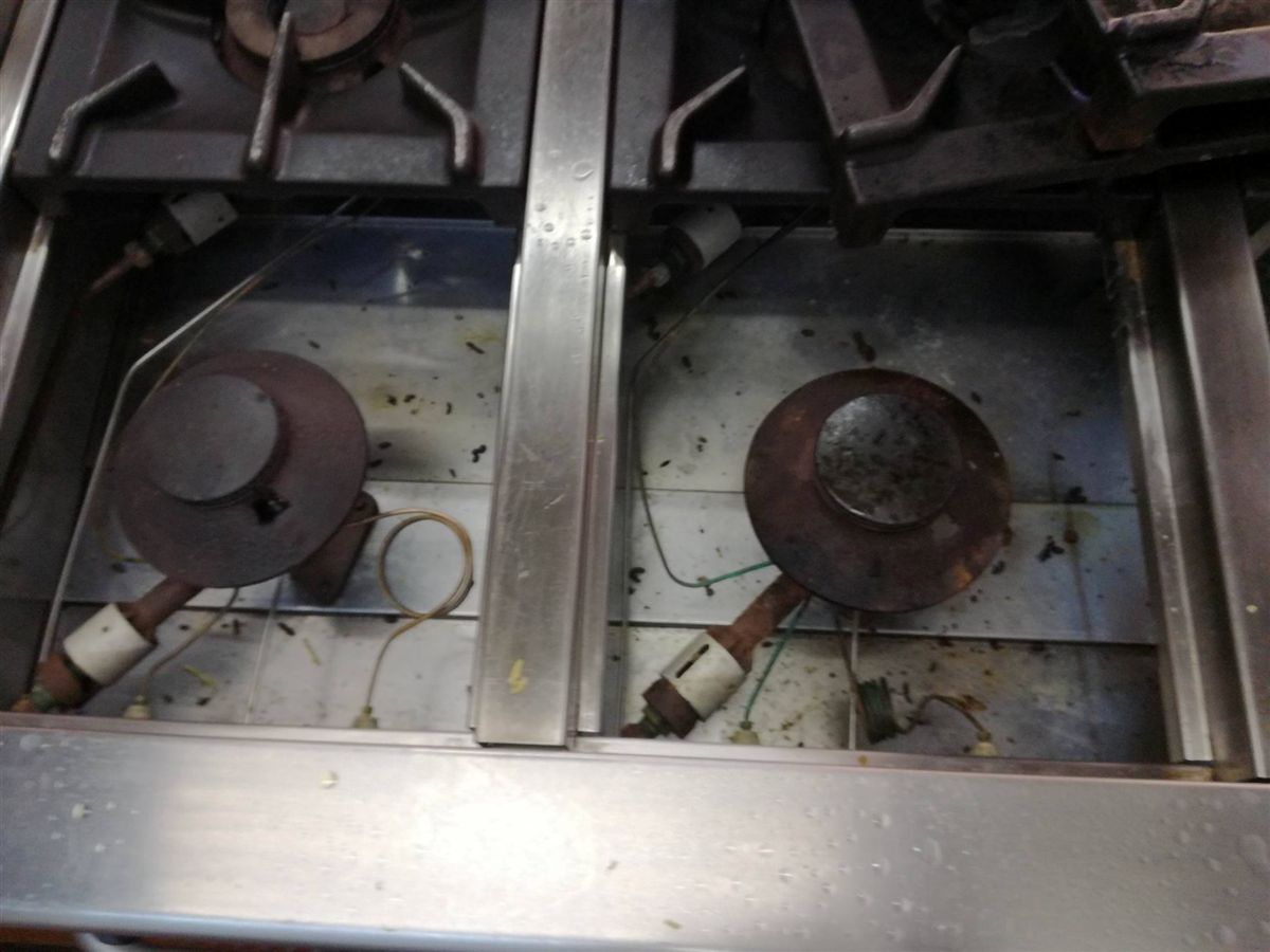 Fezes de rato encontradas em fogão de escola | FOTOS