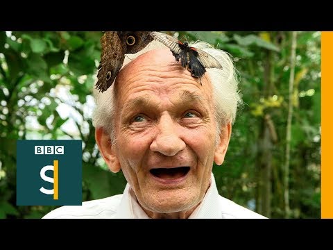 Homem de 81 anos realiza lista de desejos para recuperar tempo perdido |VÍDEO