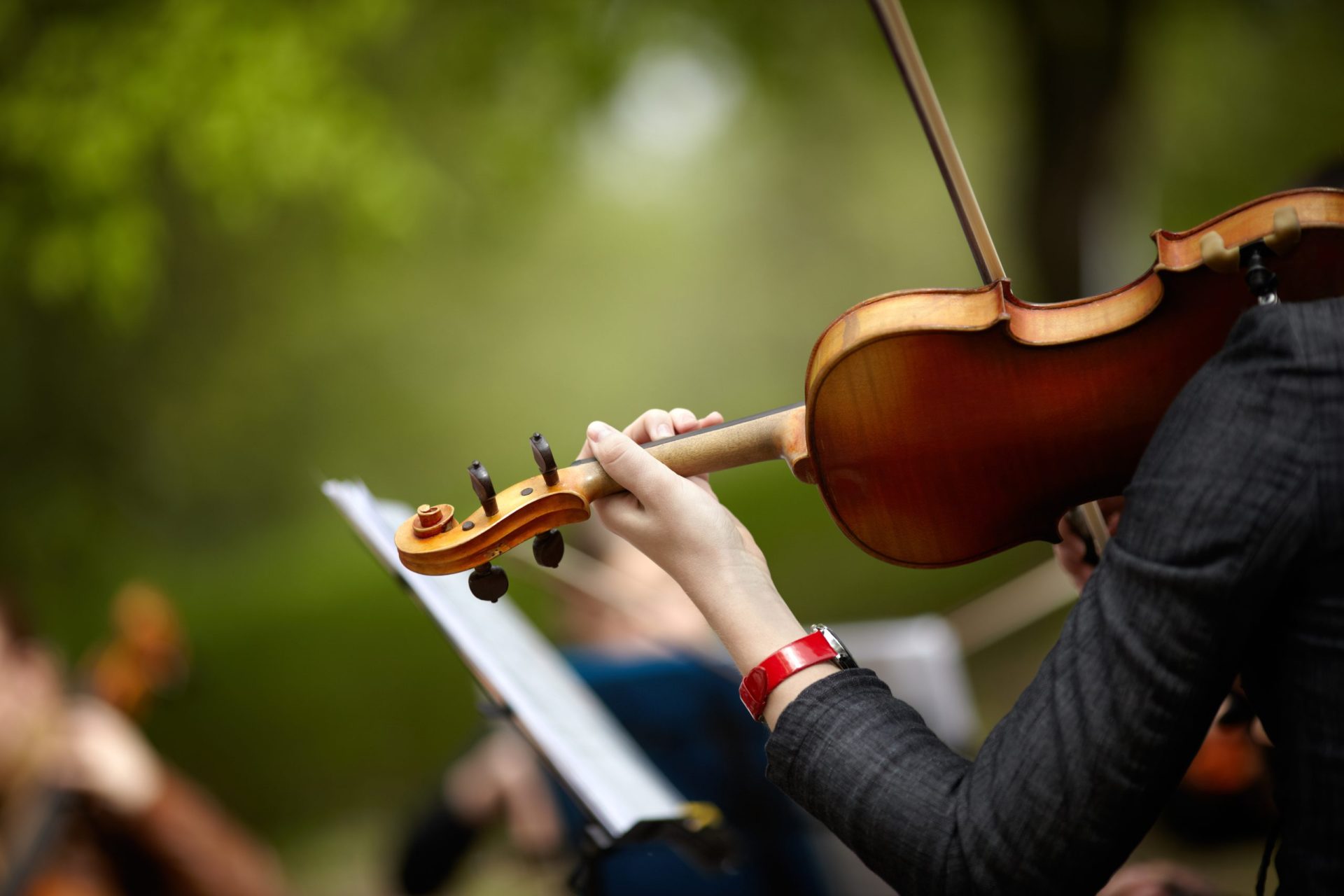 Vai abrir a primeira pós-graduação em gestão de indústrias musicais