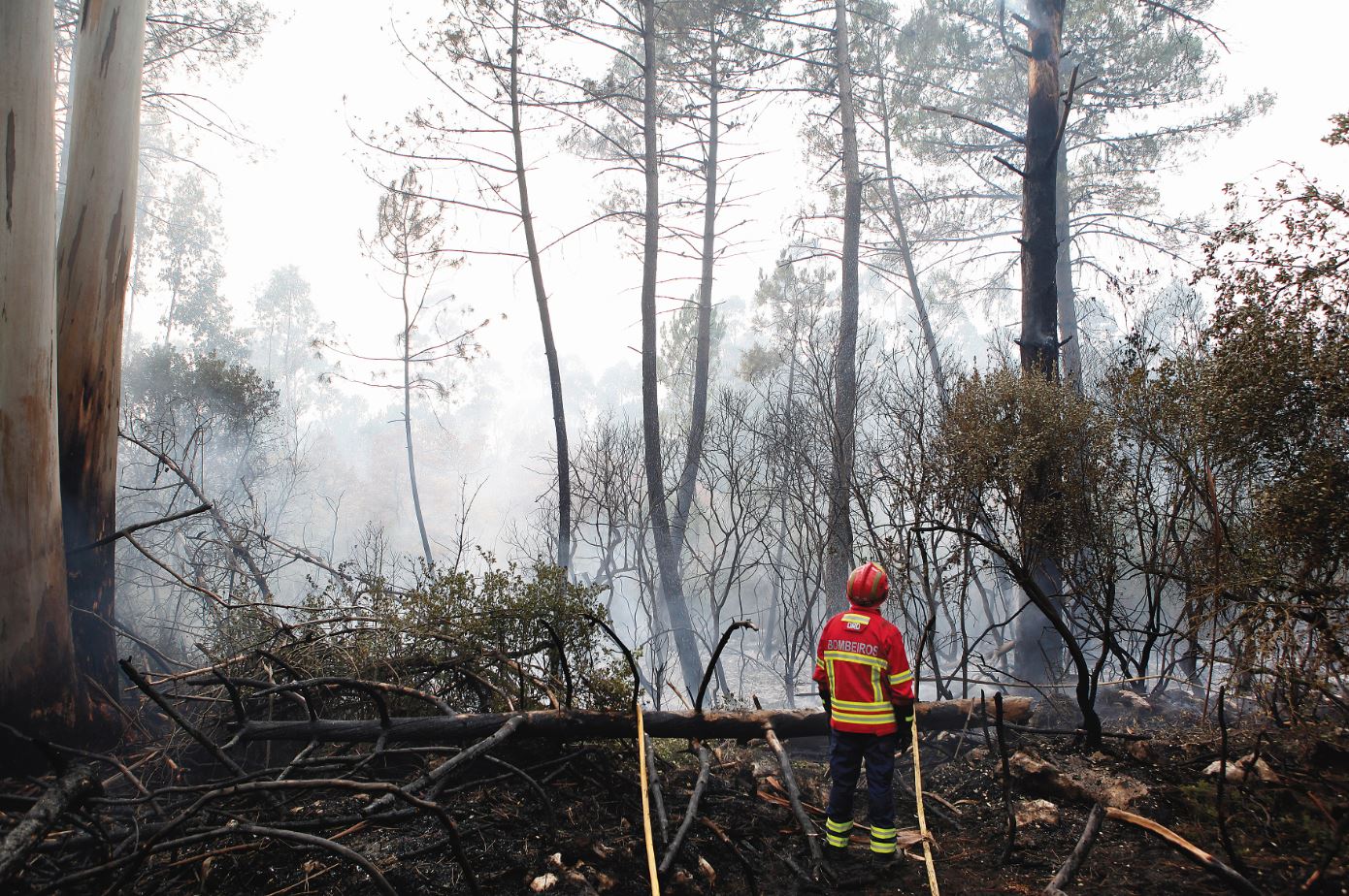 Comissão independente aceita investigar incêndios de outubro
