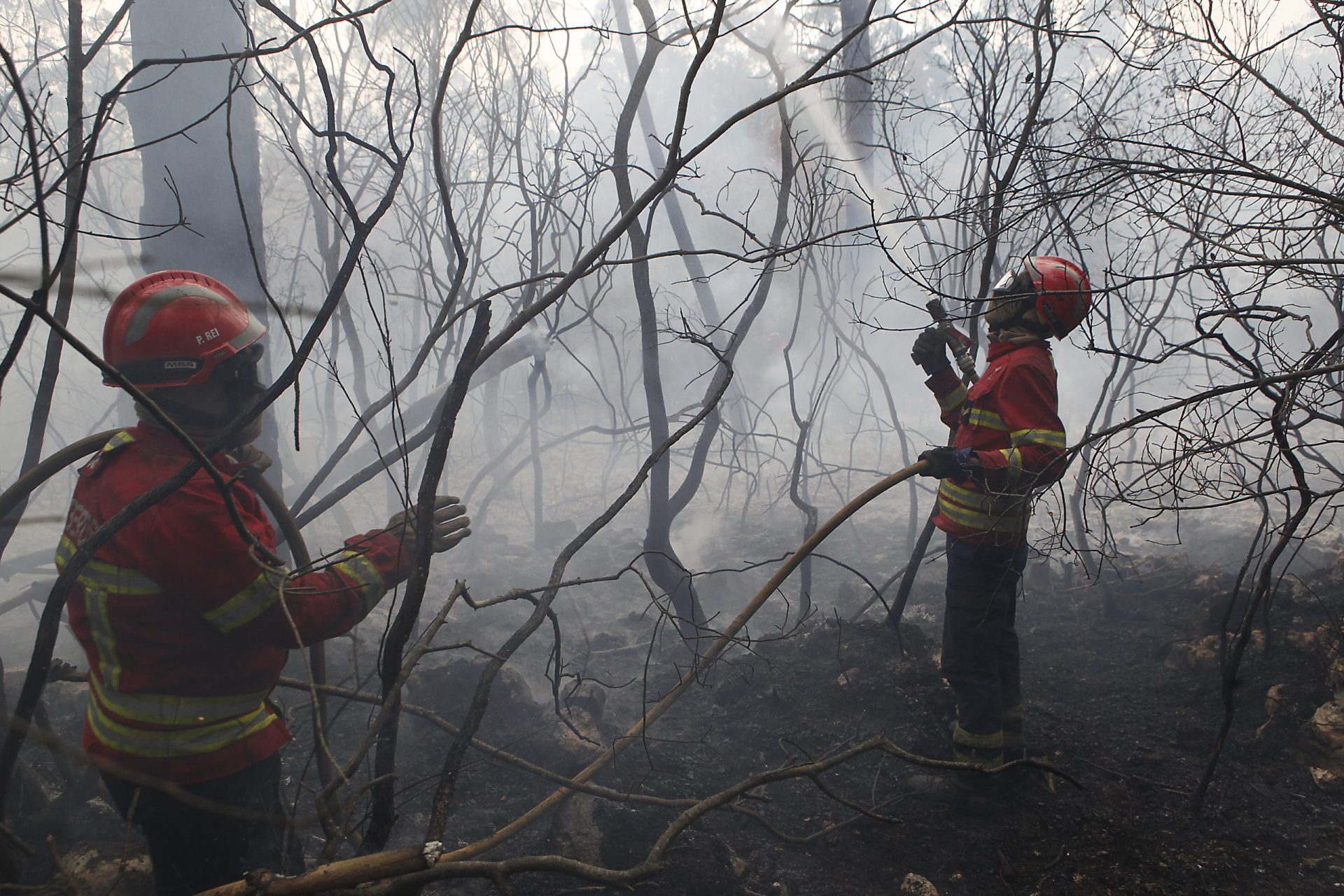 Provedora de Justiça já recebeu 37 pedidos de indemnização dos incêndios