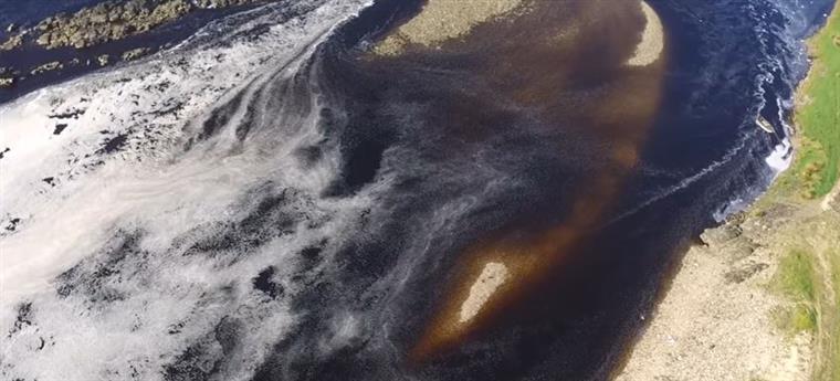 Poluição no Tejo. Ambientalistas falam  em “rio morto”