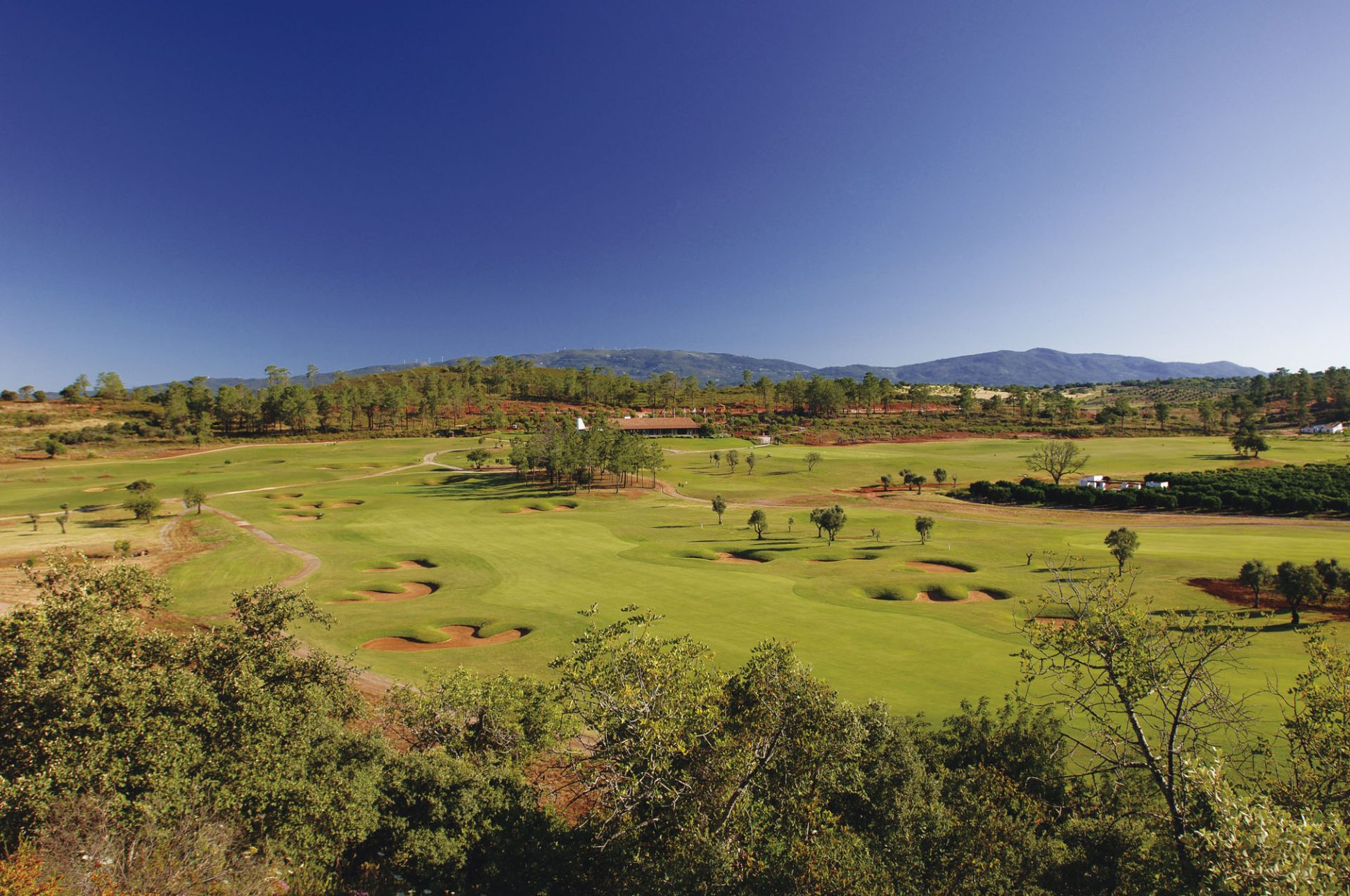 Golfe. Ricardo Melo Gouveia e Filipe Lima garantidos no Open de Portugal