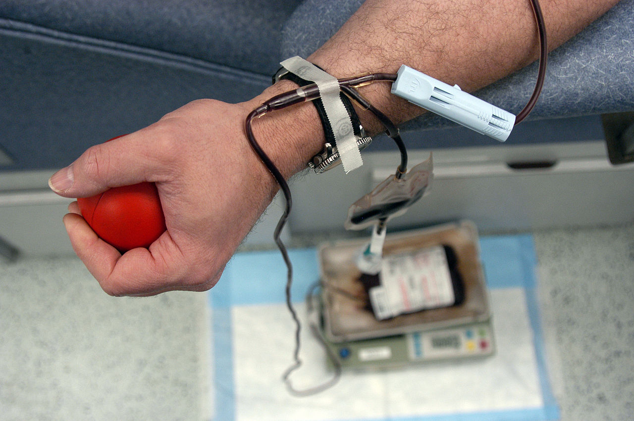 Nunca deu sangue? Em Portugal há mais de 130 mil dadores regulares