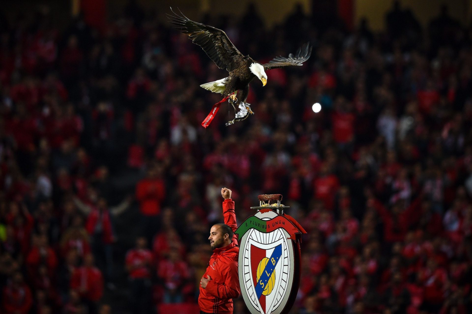 Sabe quantos sócios tem o Benfica?