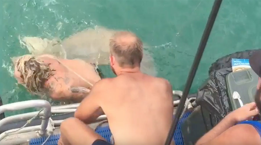 Tubarão ataca pescador [vídeo]