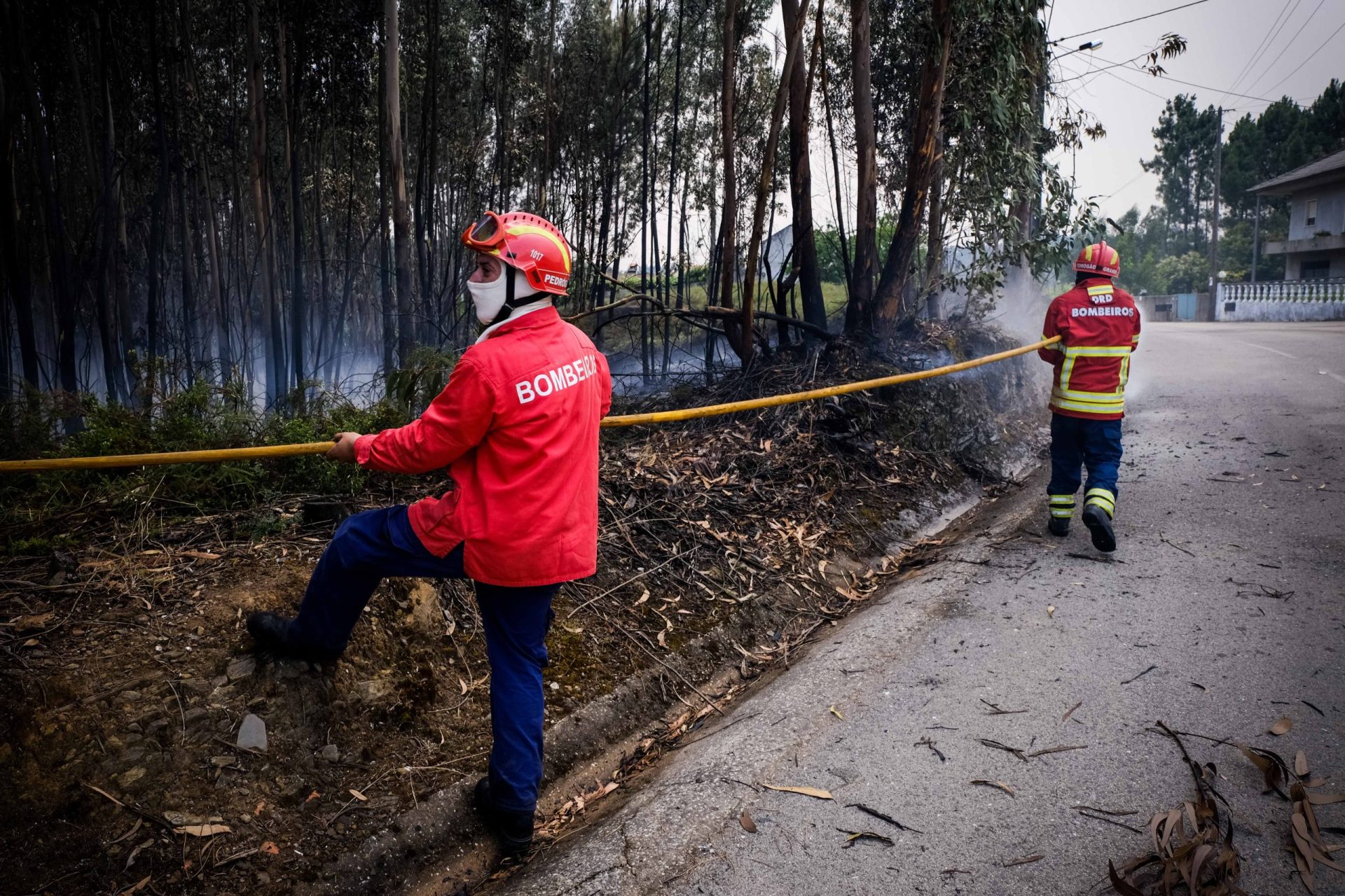 Incêndio de Pedrógão Grande continua a progredir