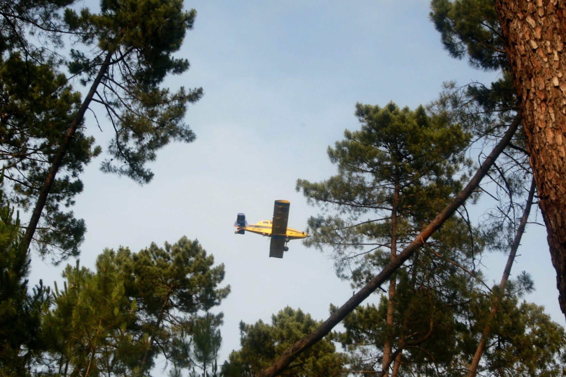 Incêndios. A rulote confundida com um avião no dia em que o fogo cercou o comando