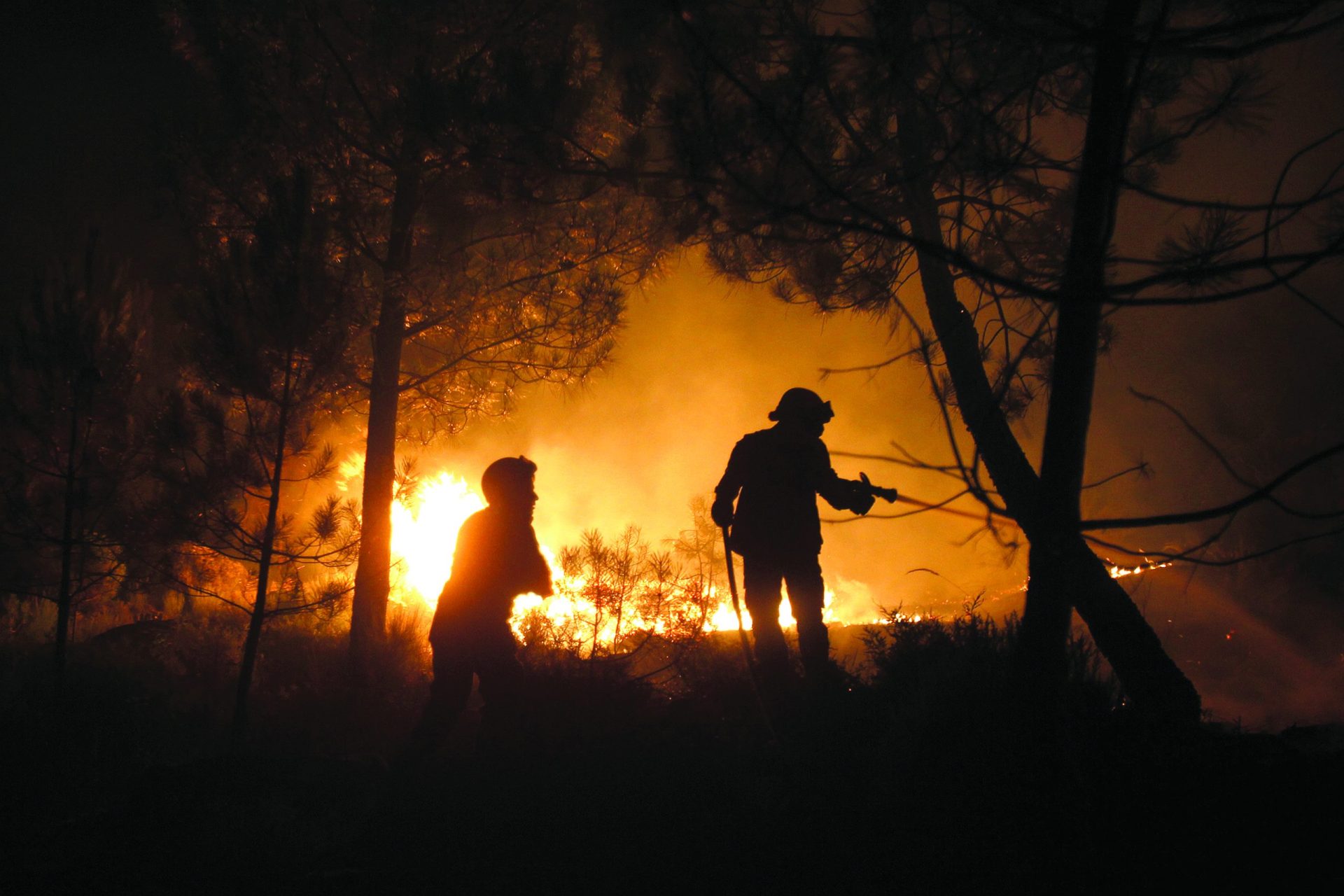 Incêndio na Covilhã está a ser combatido por 338 bombeiros
