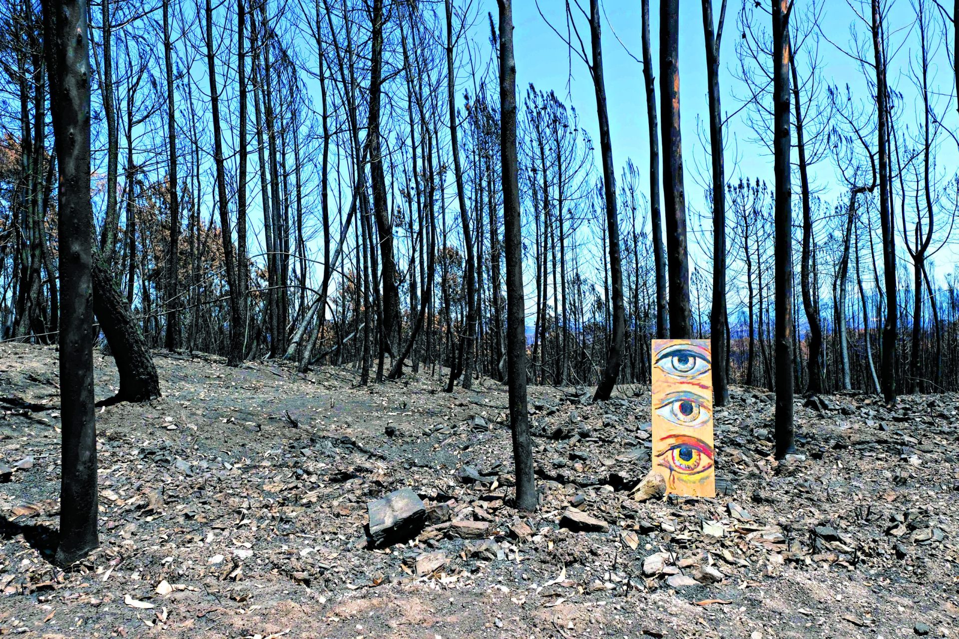 Peritos estavam a trabalhar sem acesso à lista oficial de mortes