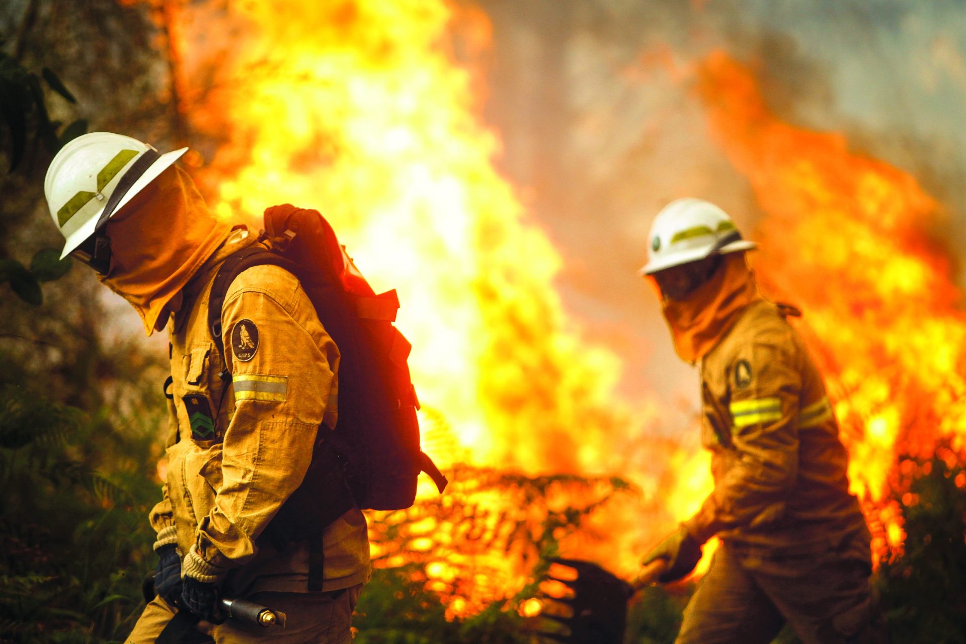 Incêndio em Penacova mobiliza 500 operacionais