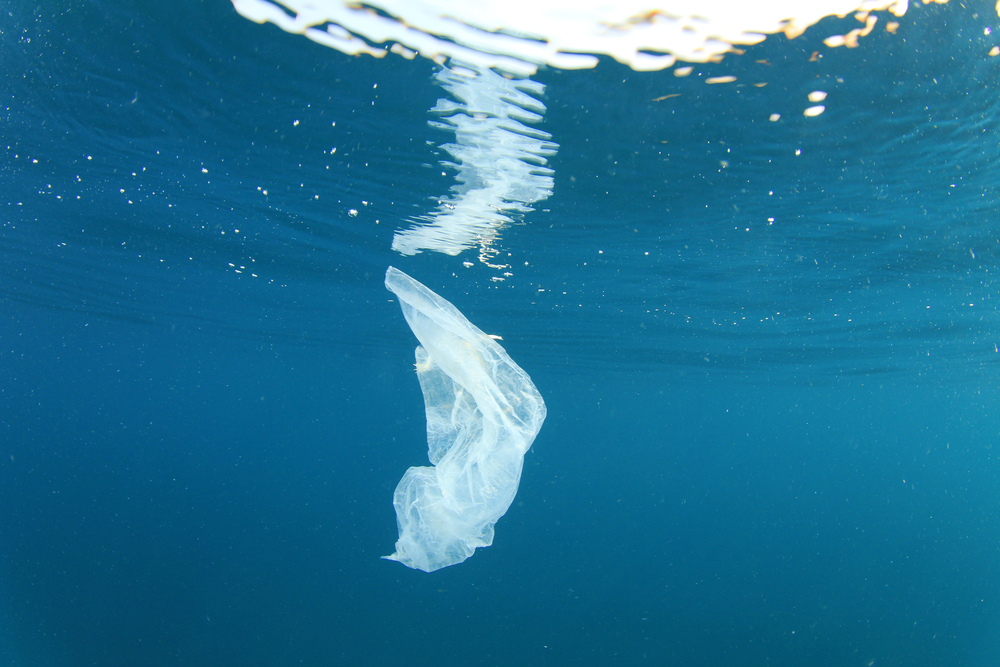 Vai haver mais plástico do que peixes nos oceanos em 2050