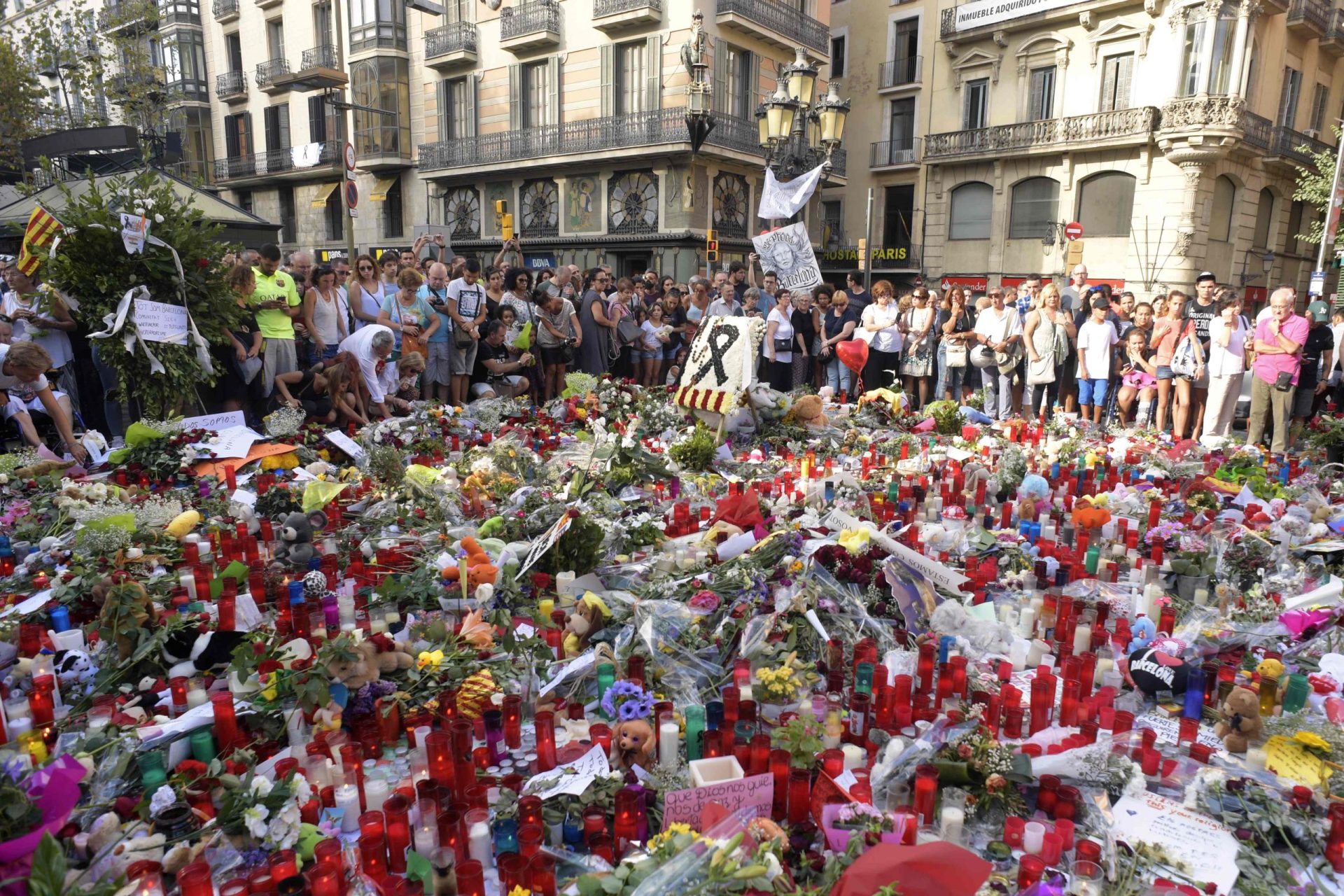 Barcelona. Confirmada identidade do condutor da carrinha