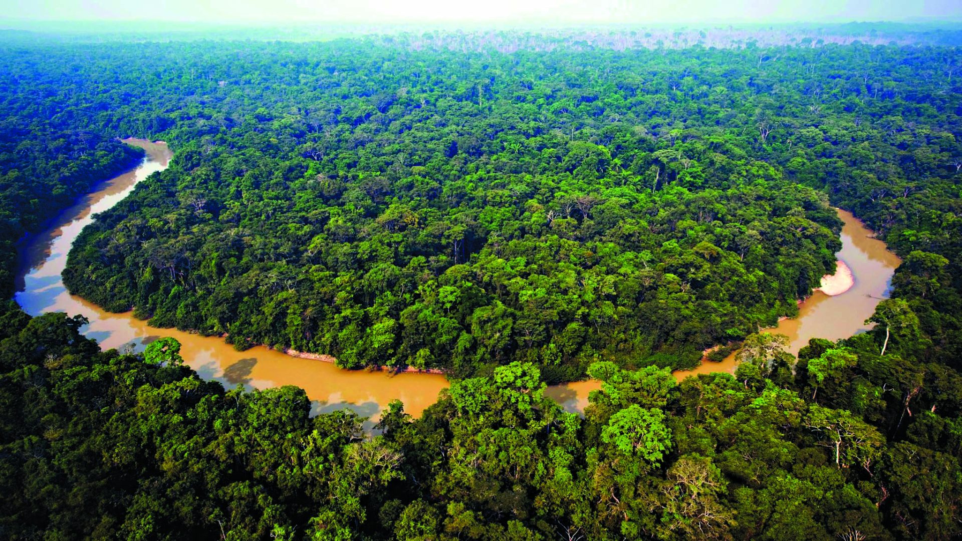 Amazónia. Temer dá 1,3 milhões de hectares aos mineiros
