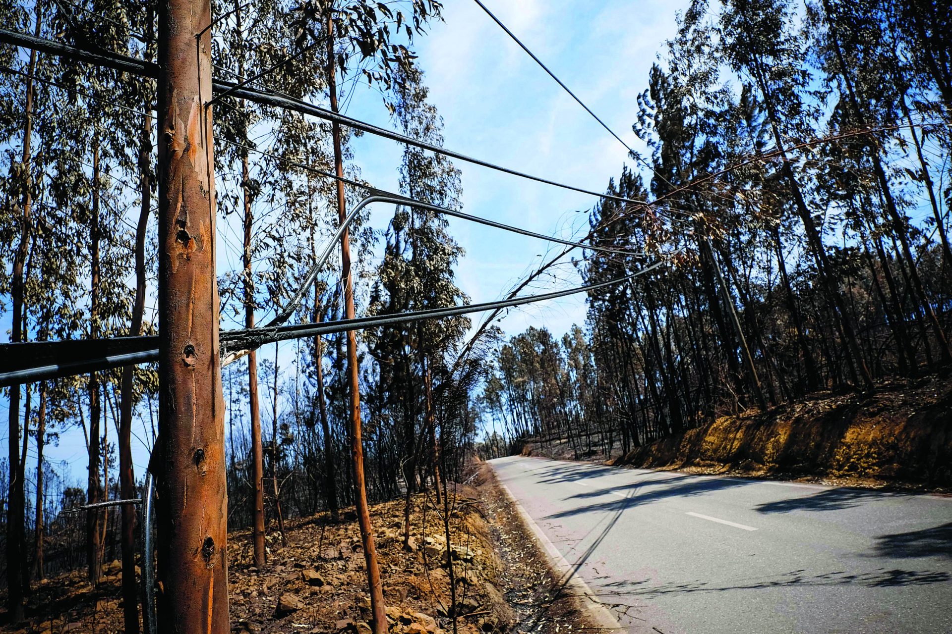 PT recusa ter falhado no SIRESP e tem dúvidas sobre solução de enterrar cabos