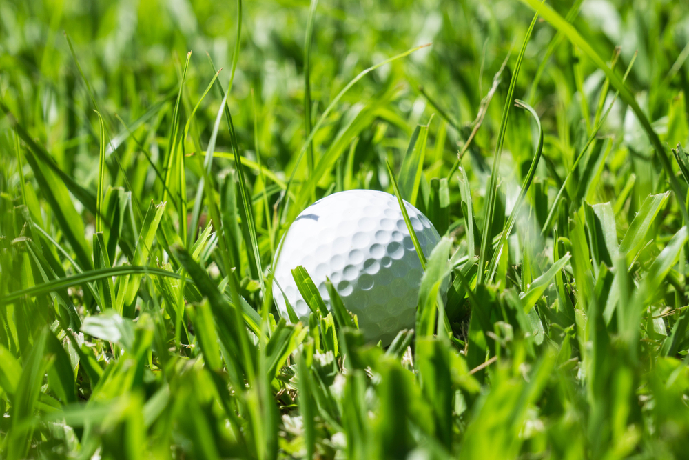 Golfe.European Disabled Golf Association parceira do Portugal Masters
