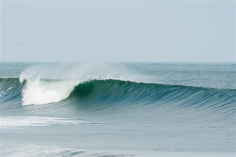 Surf. Vencedor da Liga MEO Surf com entrada direta no MEO Rip Curl Pro Portugal