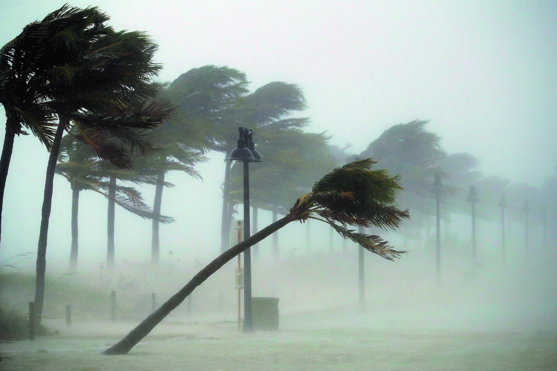 Furacão Irma. &#8220;É como esperar por um monstro&#8221;