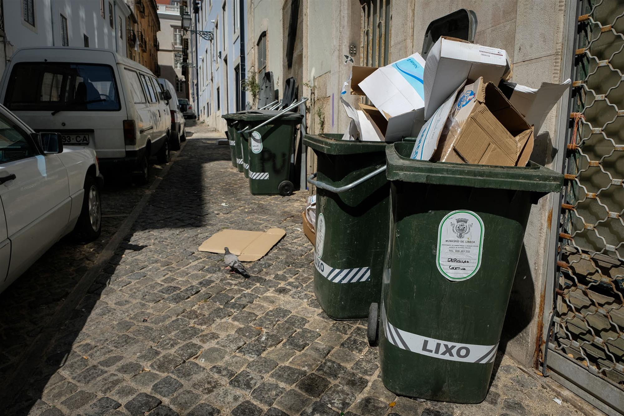 Câmara de Lisboa quer mudar regulamento sobre higiene urbana e responsabilizar cidadãos