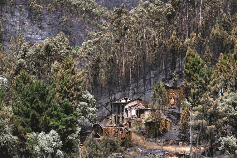 Fundo para ajudar regiões afetadas pelos incêndios de outubro