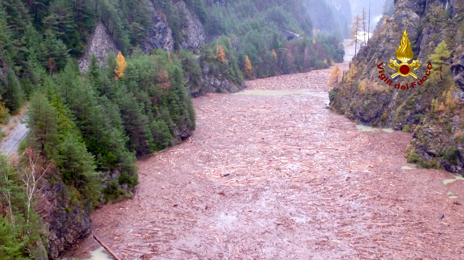Tempestade em Itália já destruiu cerca de 14 milhões de árvores