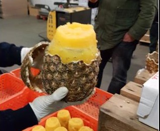 Mais de 700kg de cocaína apreendidos dentro de ananases