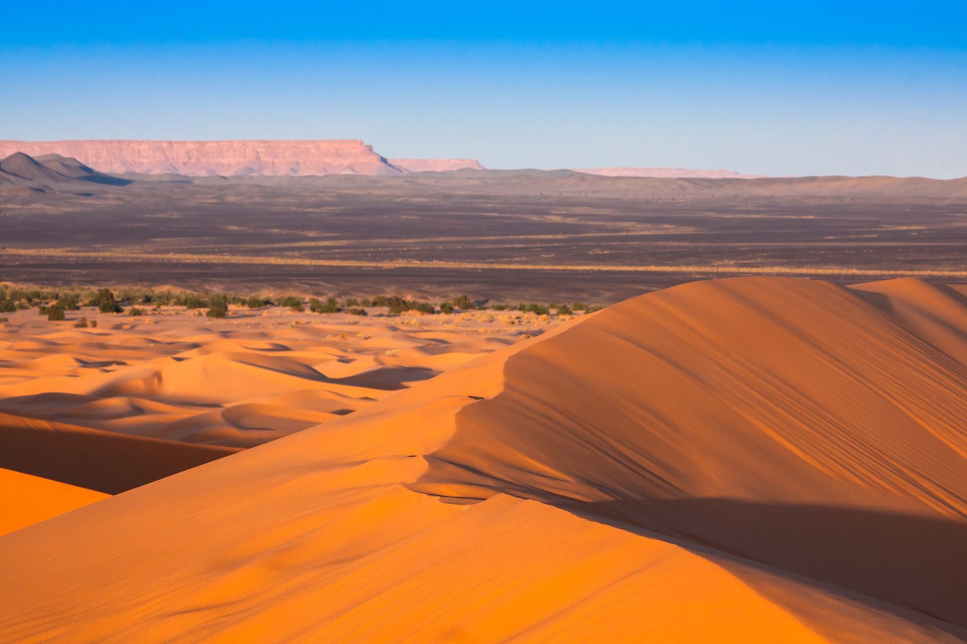 Sabe quantas vezes nevou no Sahara nos últimos 37 anos? |FOTOS