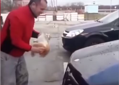 Homem usa gato para lavar o carro | VÍDEO