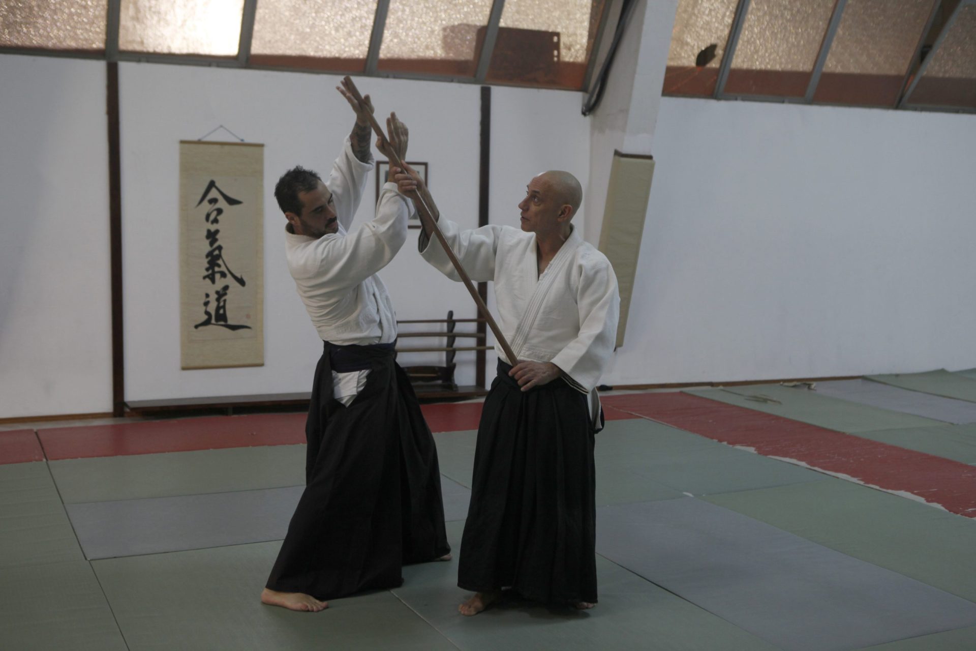 Aikido. O treino do deputado lutador