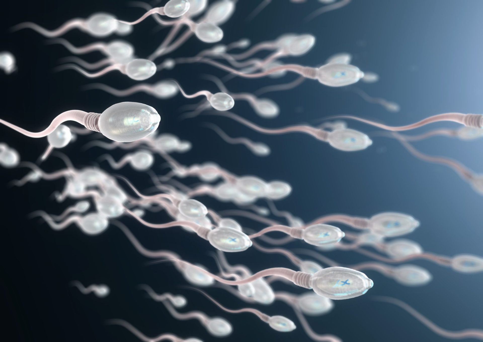 Sabia que os antialérgicos podem afetar a fertilidade masculina?