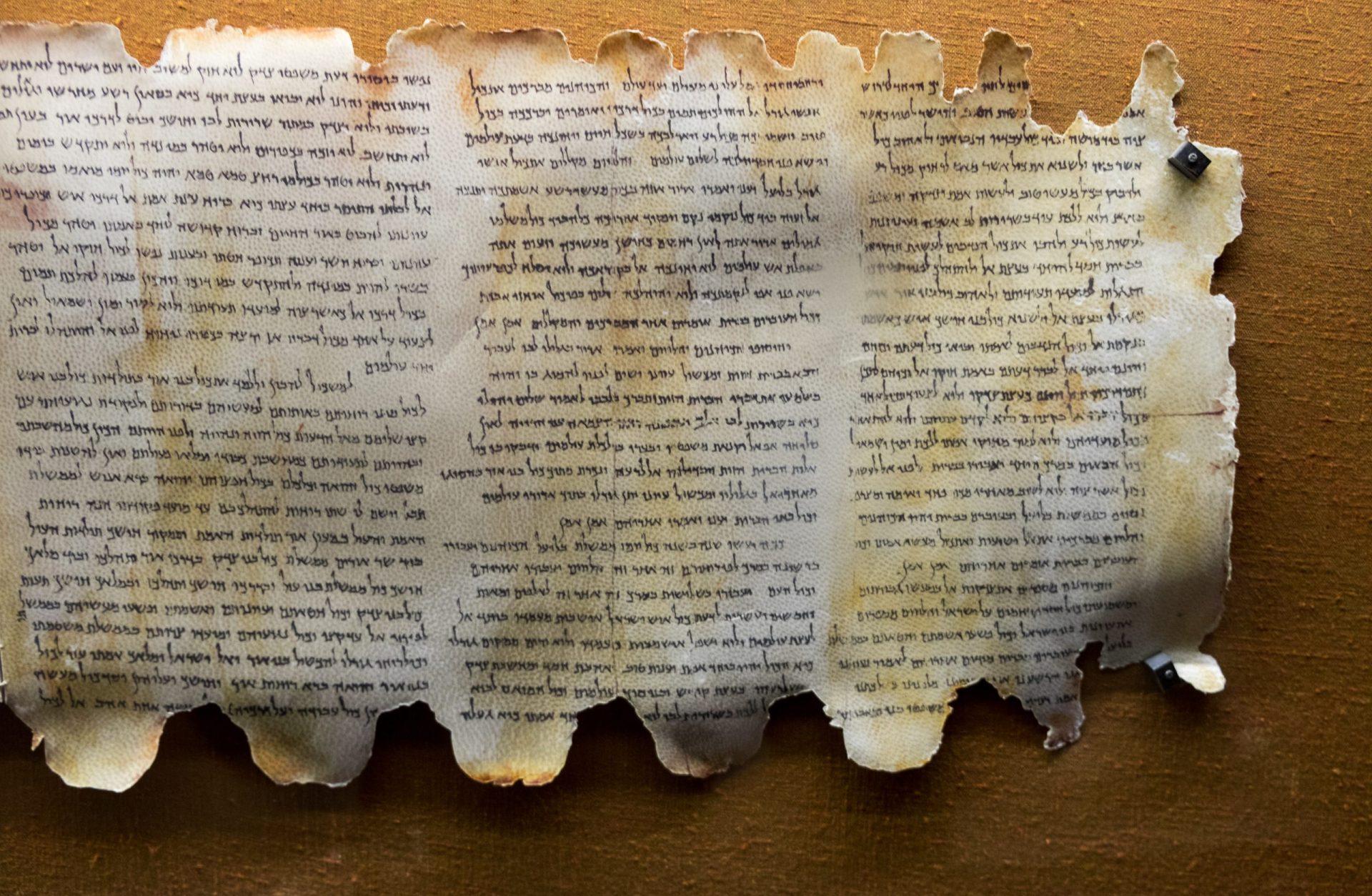 Manuscrito do Mar Morto em exposição revela uma história de Noé diferente
