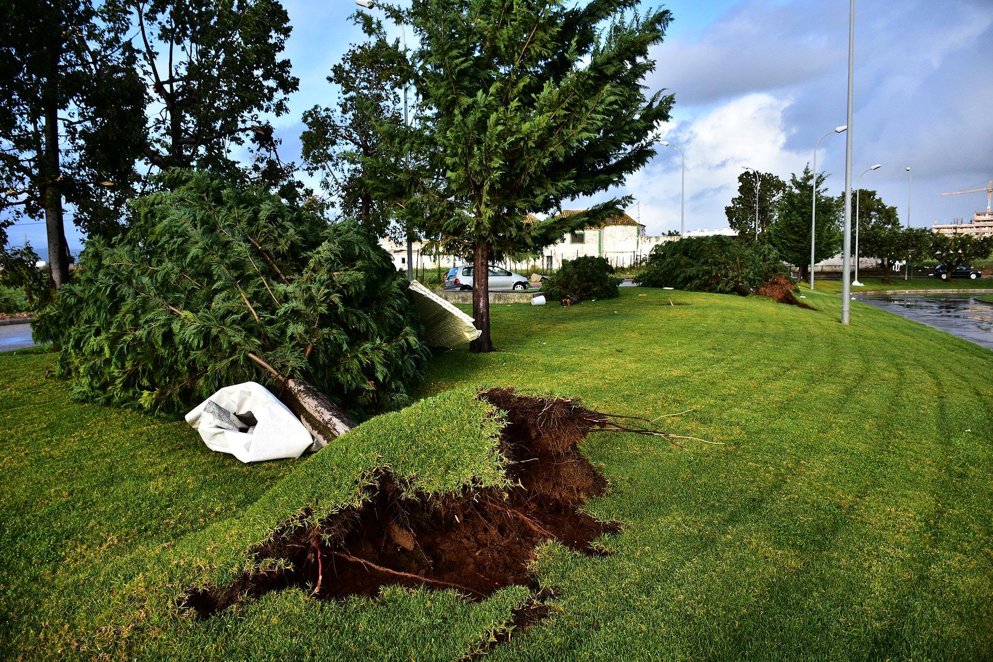 As fotos dos estragos provocados pelo tornado que passou por Faro | FOTOGALERIA