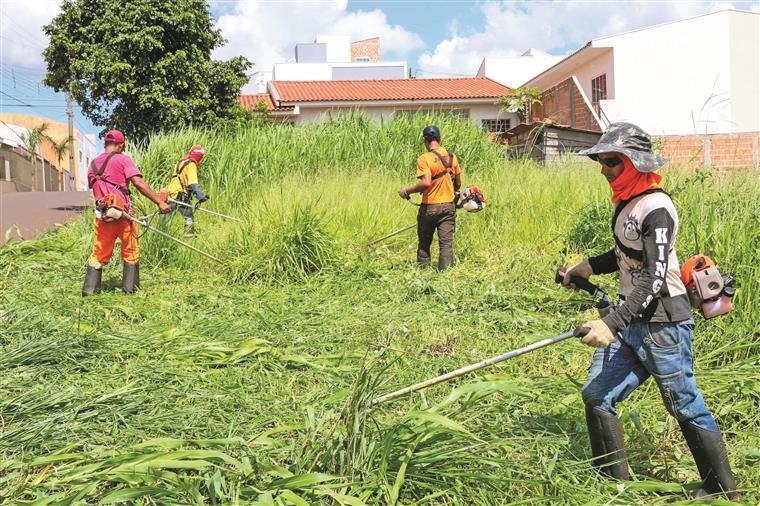 Estado só garante ajuda total para limpar terrenos em maior risco de incêndio