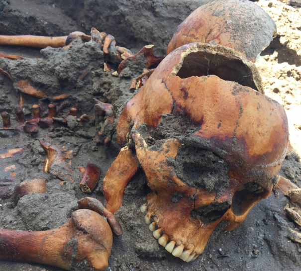 Fósseis humanos com cerca de mil anos encontrados enterrados em praia |FOTOS