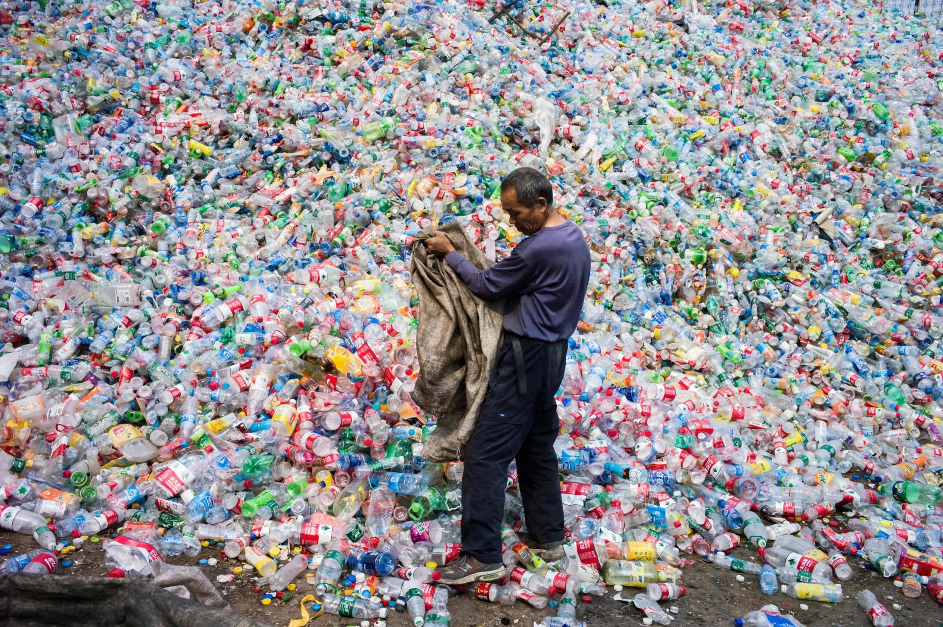 Plástico. O futuro do planeta nas mãos de uma enzima