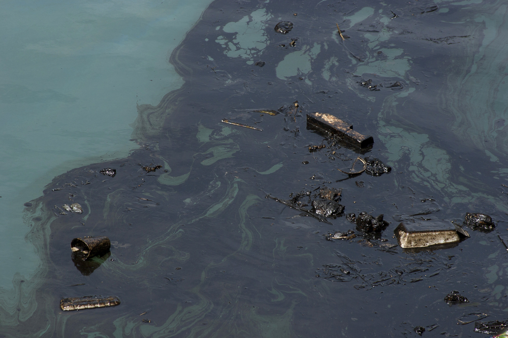 Portugueses ajudam a criar material que limpa o petróleo do oceano