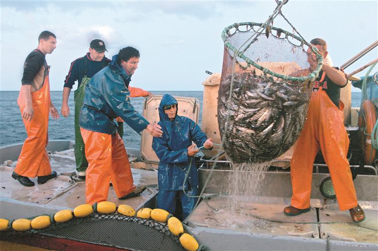 Proibição da pesca da sardinha acaba hoje