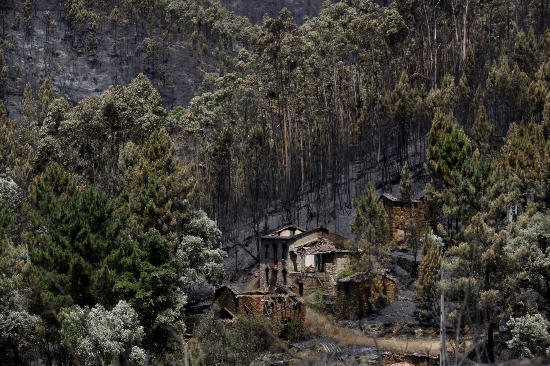 Pedrógão. PGR confirma dez arguidos