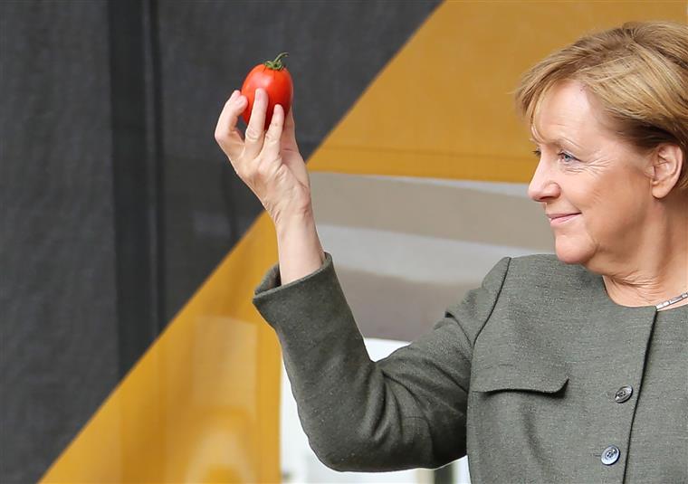Merkel pede “respeito” à decisão de Ozil