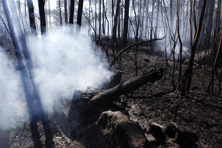 Relatório revela que “Portugal é o país europeu mais afetado por incêndios”