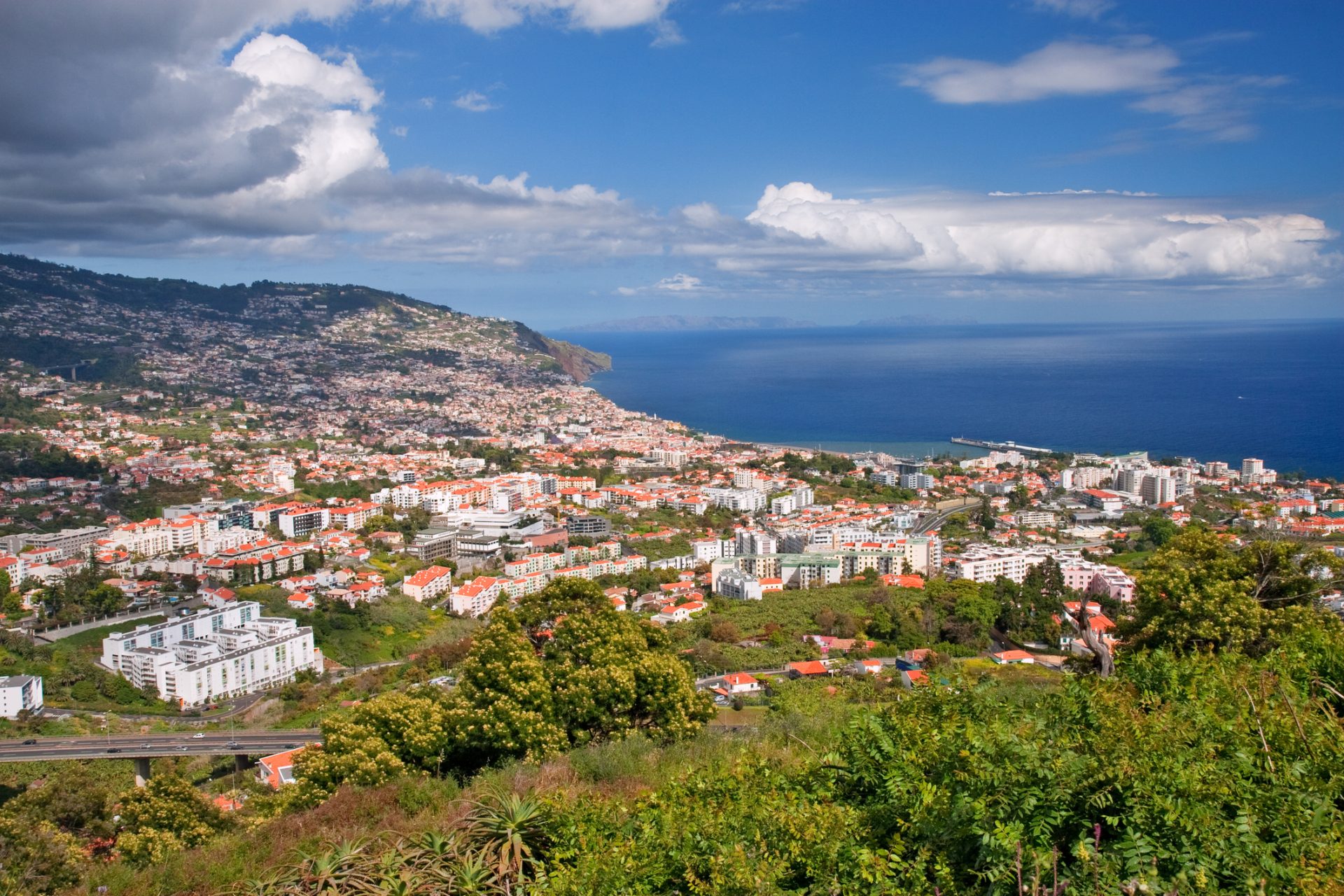 Investigação à queda de árvore no Funchal continua com três arguidos